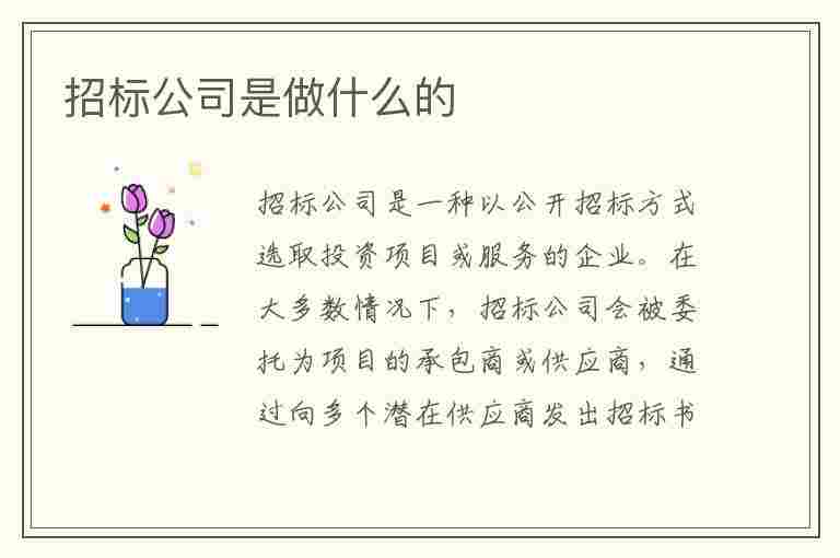 招标公司是做什么的(工程招标公司是做什么的)